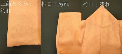 平和屋着物■上質な小紋　草花青海波地紋　暈し染め　正絹　逸品　CABD6584oy