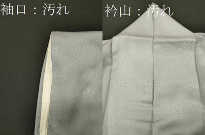 平和屋着物■豪華色留袖　飛鶴風景草木文　暈し染め　金彩　正絹　逸品　CABD6622oy