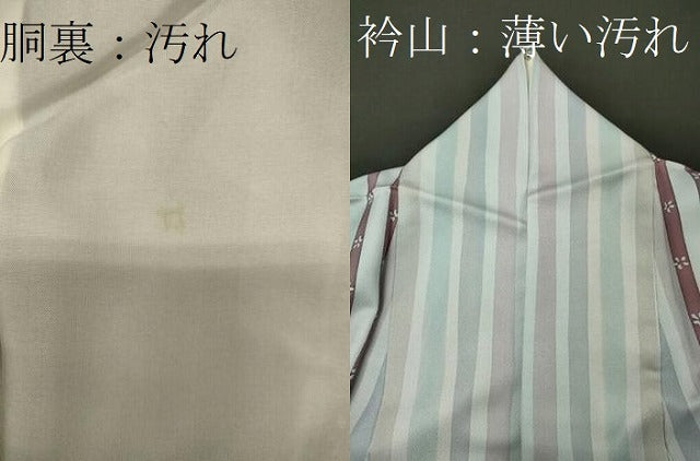 平和屋着物■上質な小紋　舞花間道　正絹　逸品　CABD6629oy