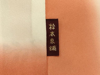 平和屋着物■上質な小紋 枝松花蝶文 暈し染め 金彩 正絹 逸品 CABD6726oy