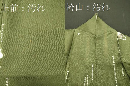 平和屋着物■上質な小紋　絞り　刺繍　舞花丸文　正絹　逸品　CABD6731oy