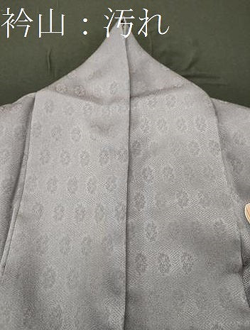 平和屋着物■訪問着 枝葉文 金彩 正絹 逸品 CABD6737oy