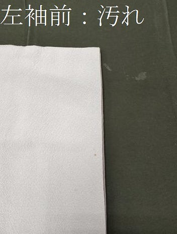 平和屋着物■訪問着 作家物 笠松文 良寛 暈し染め 金彩 正絹 逸品 CABD6771oy