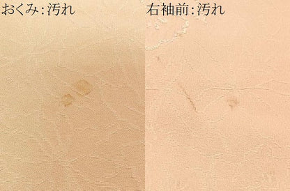 平和屋着物■訪問着 地紋起こし 舞葉文 正絹 逸品 CABD6975xe