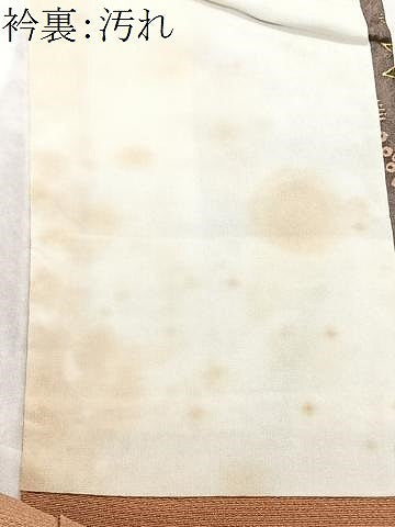 平和屋着物■上質な小紋 花蝶文 金彩 正絹 逸品 CABD7053xe
