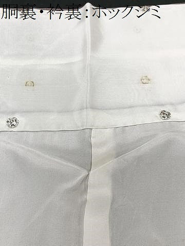 平和屋着物■訪問着 舞葉文 暈し染め 正絹 逸品 CABD7131xe