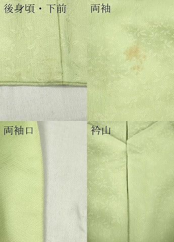 平和屋着物●上質な色無地　舞花地紋　若芽色　正絹　逸品　CABD7204ut