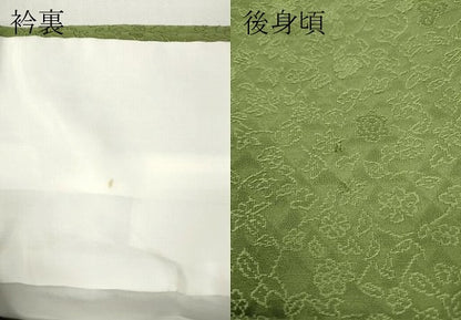 平和屋着物●上質な色無地　枝花地紋　青丹色　さが美扱い　正絹　逸品　CABD7205ut
