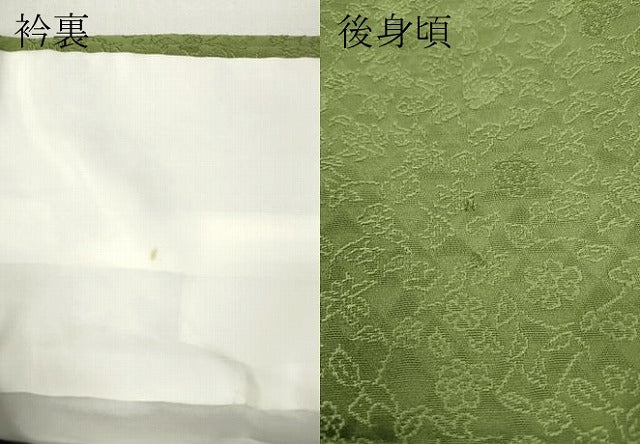 平和屋着物●上質な色無地　枝花地紋　青丹色　さが美扱い　正絹　逸品　CABD7205ut