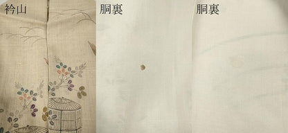 平和屋着物●訪問着　生紬　花鳥蝶文　正絹　逸品　CABD7272ut