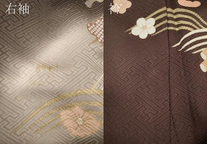 平和屋着物●訪問着　花筏　暈し染め　金彩　正絹　逸品　CABD7415ut