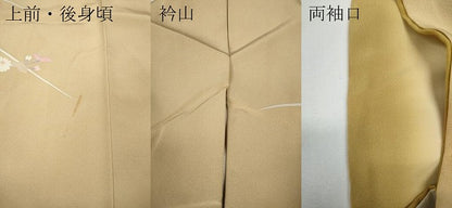 平和屋着物●訪問着　友禅　枝花文　暈し染め　ロング丈　正絹　逸品　CABD7427ut