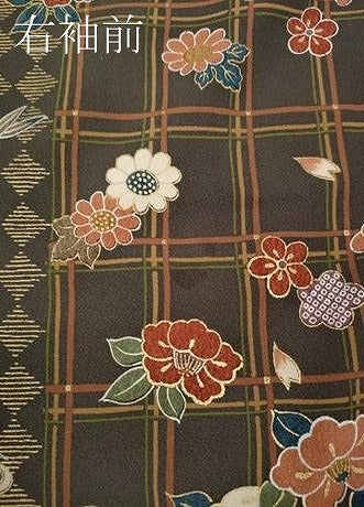 平和屋着物●上質な小紋　格子花蝶文　金彩　正絹　逸品　CABD7480ut