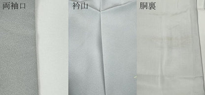平和屋着物●本加賀友禅作家　藤村建雄　訪問着　枝花文　正絹　逸品　CABD7496ut