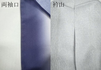 平和屋着物●色留訪問着　刺繍　正倉院花文　暈し染め　やまと誂製　ロング丈　正絹　逸品　CABD7515ut