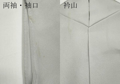 平和屋着物●訪問着　友禅　枝桜文　正絹　逸品　CABD7517ut