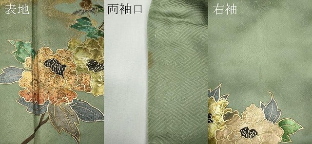 平和屋着物●訪問着　枝花文　暈し染め　金銀彩　正絹　逸品　CABD7573ut