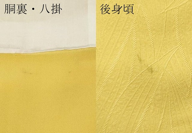 平和屋着物●上質な色無地　舞葉地紋　黄支子色　ロング丈　正絹　逸品　CABD7590ut