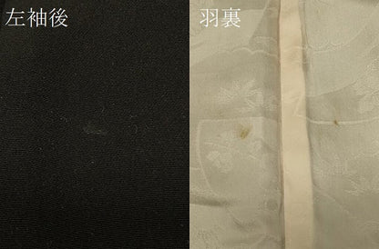 平和屋着物＃羽織 草花文 黒地 金彩 正絹 逸品 CABD7642in