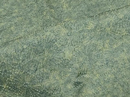 平和屋着物＃道行コート　花地紋　暈し染め　正絹　逸品　CABD7724in
