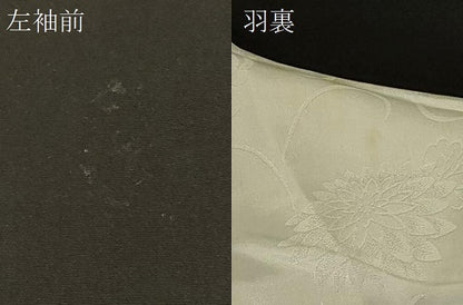 平和屋着物＃羽織 寿光織 流水枝松文 黒地 金銀糸 正絹 逸品 CABD7895in