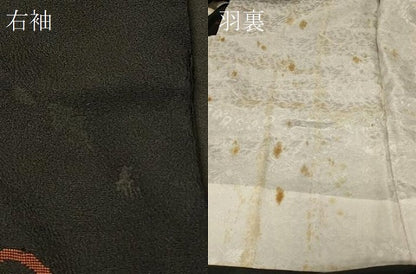平和屋着物＃羽織 寿光織 鏡裏草花文 黒地 銀糸 正絹 逸品 CABD7902in