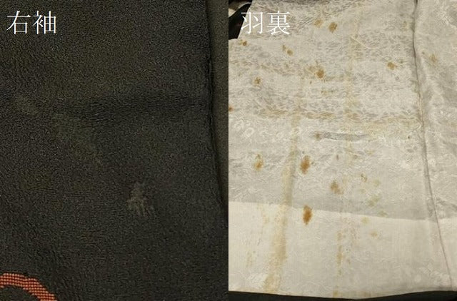 平和屋着物＃羽織 寿光織 鏡裏草花文 黒地 銀糸 正絹 逸品 CABD7902in
