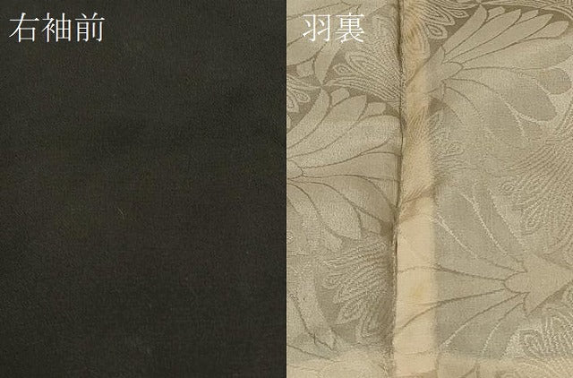 平和屋着物＃羽織　寿光織　更紗花文　黒地　銀糸　正絹　逸品　CABD7950in