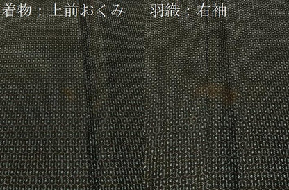 平和屋着物●男性　本場大島紬　アンサンブル　100亀甲　総詰め　正絹　逸品　CABD8048vp