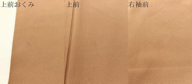平和屋着物●江戸小紋　鮫小紋柄　正絹　逸品　CABD8096vp