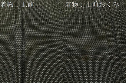 平和屋着物●男性　本場大島紬　アンサンブル　長襦袢セット　100亀甲　総詰め　正絹　逸品　CABD8183vp