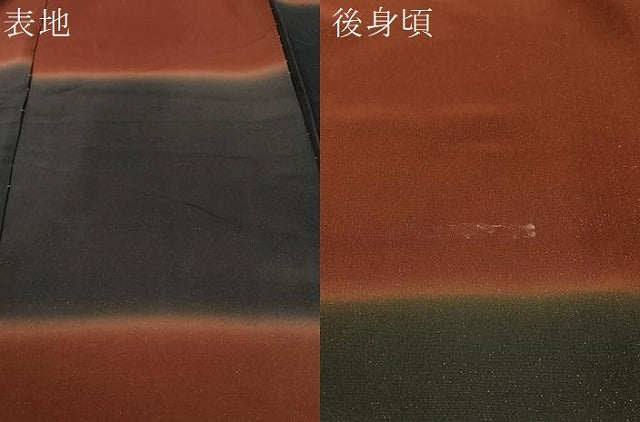 平和屋着物●水野正夫　小紋　横段文　暈し染め　銀通し地　仮絵羽　正絹　逸品　未使用　CABD8219vp