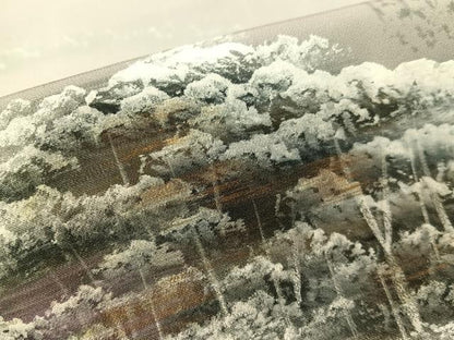 平和屋着物▼豪華色留袖　作家物　手描き　雪景色　暈し染め　金彩　正絹　逸品　CABD8287vp