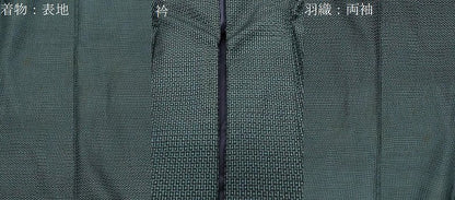 平和屋着物●男性　本場大島紬　アンサンブル　100亀甲　総詰め　正絹　逸品　CABD8808gh