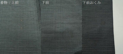 平和屋着物●男性　本場大島紬　アンサンブル　100亀甲　総詰め　正絹　逸品　CABD8831gh