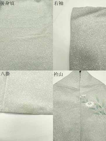 平和屋着物●訪問着　友禅　尾長鳥花文　正絹　逸品　CABD9147gh