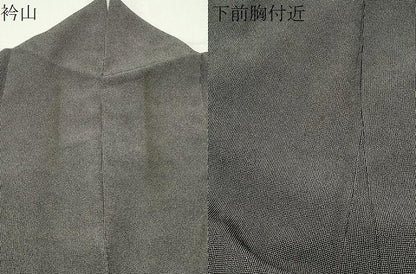 平和屋着物●江戸小紋　小紋師：寿永　角通し　黒地　正絹　逸品　CABD9218gh