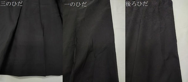 平和屋着物●女性　行灯袴　薔薇　暈し染め　黒地　洗える着物　CABD9485gh