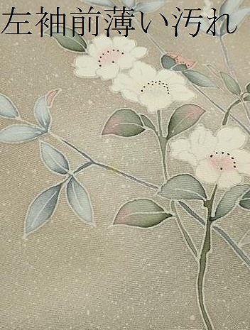 平和屋着物■訪問着　友禅　枝花文　たたき染め　正絹　逸品　CABD9642ze