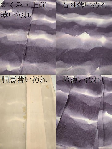 平和屋着物■上質な小紋 暈し染め 正絹 逸品 CABD9663ze