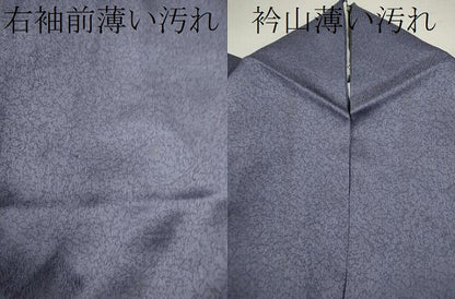 平和屋着物■訪問着　吉祥草花文　暈し染め　金銀彩　正絹　逸品　CABD9679ze