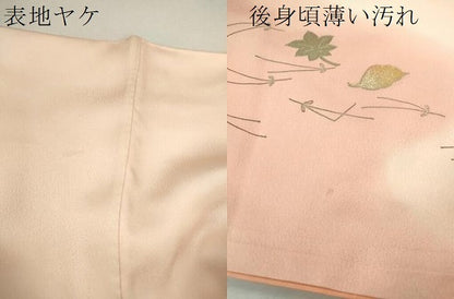 平和屋着物■訪問着 仕覆吹き寄せ文 暈し染め 金銀彩 正絹 逸品 CABD9754ze