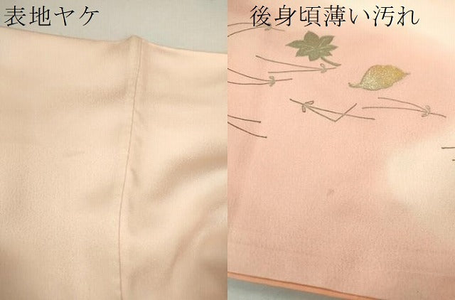 平和屋着物■訪問着 仕覆吹き寄せ文 暈し染め 金銀彩 正絹 逸品 CABD9754ze