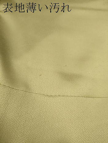 平和屋着物■豪華色留袖 駒刺繍 草花文 暈し染め 金銀彩 正絹 逸品 CABD9756ze