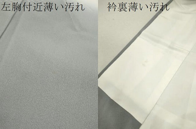 平和屋着物■訪問着 風景文 暈し染め 正絹 逸品 CABD9758ze