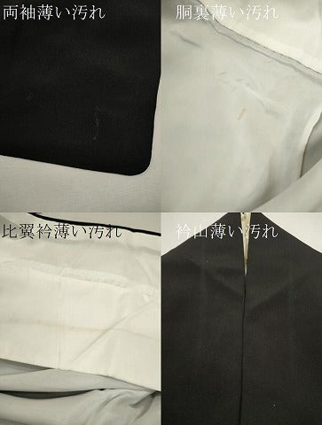 平和屋着物■豪華黒留袖 駒刺繍 鏡裏鳳凰花文 金彩 正絹 逸品 CABD9766ze