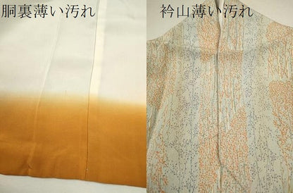 平和屋着物■上質な小紋 草木間道 正絹 逸品 CABD9783ze