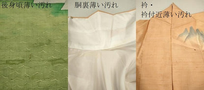 平和屋着物■訪問着　紬地　霞水辺風景文　正絹　逸品　CABD9922ze