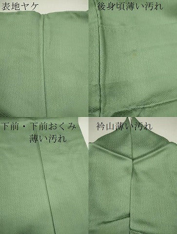 平和屋着物●訪問着　絞り　枝花文　金彩　ますいわ屋扱い　正絹　逸品　未使用　AABG7971cs 平和屋着物□訪問着 作家物 紬地 枝花文 金彩 正絹 逸品 CABF5782oyの