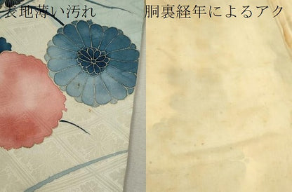 平和屋着物■豪華振袖　雲取り枝菊文　暈し染め　金彩　正絹　逸品　CABD9934ze